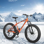 ZUN S26109 Elecony 26 Inch Fat Tire Bike Adult/Youth Full Shimano 21 Speed Mountain Bike, Dual Disc W709P156169