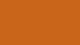Metal Bed Orange Finish Queen Platform Bed 1pc, Bed in a Box B011P265602