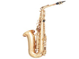 Alto Saxophone E-Flat Alto SAX Eb with 11reeds, case,carekit,Gold Color for 30684206