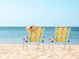 Set of 2 Webbed Folding Beach Chairs, Outdoor Patio Lawn Foldable Chairs for Camping Fishing Yard 34057801