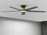 52 inch Ceiling Fans with Lights, Large Air Volume Ceiling Fans with Reversible Quiet DC Motor and 37560920