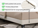 Findlay Plush 3D Upholstered Platform Bed in White Dove T2574P241780