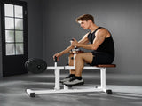Adjustable Steel Seated Calf Raise Exercise Strength Training Gym Equipment 31070415