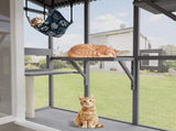 Large Walk-in Outdoor Catio for Cats Window Cat Enclosure with Roof, 3 Access Doors, Multi-Cat W2831P314292