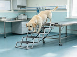 Folding Dog Car Ramp 51842146