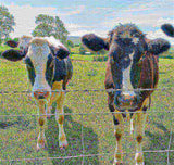 Farm Fence 4ft x 164ft 13Gauge Heavy Zinc Coating Cattle Fence,Galvanized Field Wire Fencing Deer W2286P270215