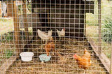 Hardware Cloth 1/2 inch 48in x 50ft 19 Gauge, Hot-dip Galvanized After Welding Chicken Wire Fence W2286P310753