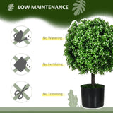 Artificial Plant/Green plants 34105878