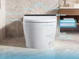 Tankless Smart Toilet With Bidet Built In, One-piece Bidet Toilet Seat, Auto Flush,Heated Seat, Warm T5879P486659