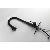 Single Handle Stainless Steel Kitchen Sink Faucet with Pull Down Sprayer W2287P354614