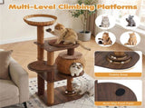 59.5" Rattan Woven Cat Tree with Cat Condo & Top Perch Multi-Level Cat Tower 56022291