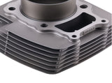 Cylinder Piston Top End Kit Set fit for Honda Rancher TRX350 12100-HN5 2000-2006 29006535
