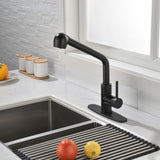 Single-Handle Pull-Out Sprayer Kitchen Faucet in Stainless Matte Black 23616223