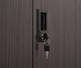 Metal Storage Cabinet with Locking Doors and Adjustable Shelf, Filing Storage Cabinet , W1247P216101