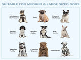 Dog CrateDog Cage 84619380