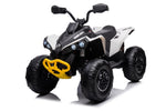 ZUN Kids ATV 24V, Licensed BRP Can-am Two Seater Ride on Cars for Kids w/ 4x200W Powerful Motor, W2058P211235