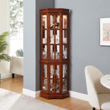 Corner Curio Cabinet with 5 Shelves and Lighting System, Walnut W1693P183978
