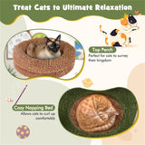 Multilevel Cat TreeCat Apartment 11635914