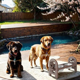 Brown Adjustable Pet Bowl Travel Ready HDPE Durable Poly Lumber Recycled B195P214986