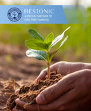 Restonic ComfortCare Hybrid Restful Nights Firm, Queen B123P314833