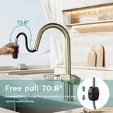 High Arc Pull-Down Kitchen Faucet - Single Hole Stainless Steel, Modern Sink Faucet W1217P358172