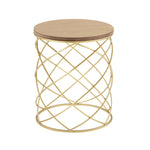 ZUN Golden Side table [MDF TOP+ METAL FRAME] N770P234470G