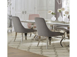 Set of 2 Velvet Upholstered Side Chairs, Grey and Chrome B016P225431