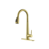 ZUN Gold Kitchen Faucets with Pull Down Sprayer, Kitchen Sink Faucet with Pull Out Sprayer,Fingerprint 93404954