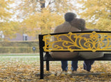 50" Iron Outdoor Courtyard Decoration Park Leisure Bench 16427178