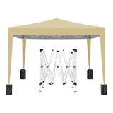 ZUN 10'x10' Folding Canopy with 4 Removable Sidewalls Outdoor Event Shelter UPF 50+ Gazebo Portable W2185P194747