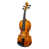 New 1/8 Acoustic Violin with Hard Case,Violin Bow,Shoulder Rest,Rosin,Extra Strings and Sourdine 91650069