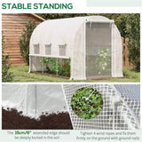 Mini Walk-in Greenhouse 06744769