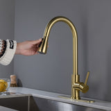 Kitchen Faucet with Pull Out Spraye 58556290