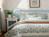 6 Piece Cotton Percale Quilt Set with Throw Pillows Aqua King/Cal King B035129022