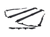 2x Tailgate Power Trunk Hatch Lift Support Shock Fit for Toyota RAV4 Limited 2.5L L4 44436334