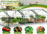 Mini Greenhouse with PVC Cover, Indoor Outdoor Plant Gardening Green House for Garden Backyard, 11104035