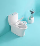 ZUN 15 1/8 Inch 1.1/1.6 GPF Dual Flush 1-Piece Elongated Toilet with Soft-Close Seat - Gloss White W1573101061