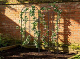 2 Pack 71 x 20 in Rustproof Metal Garden Trellis for Climbing Plants, Decorative Support for Roses, 33965153