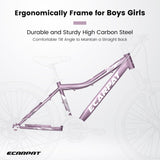A26208 Ecarpat 26 Inch Bike, 21-Speed V-Brake, Front Suspension, Carbon Steel Frame W2563P180665