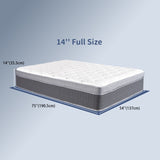 Full Size Mattress in a Box 14 Inch Memory Foam Hybrid Mattress with Pocketed Springs Medium Firm 97546844
