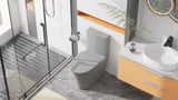 Matte Grey Elongated One Piece Toilet Dual Flush 1.1/1.6 GPF Water Saving Comfort Seat Height, Map W2826P192008