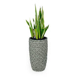 ZUN 14.6" Self-watering Wicker Planter - Garden Decoration Pot - Gray - Round B046P144658