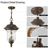 Rustic Outdoor Hanging Lantern, Weatherproof Vintage Pendant Light with Clear Glass Shade, W1340P209948