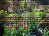 36inch x 50ft Black Vinyl Coated Hardware Cloth 2" X 3" 16Ga Wire Mesh fence, PVC Coated 33230166