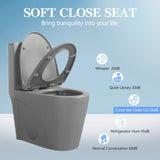 1.1/1.60 GPF Dual-Flush One Piece Toilet, Water-Saving Elongated Comfort Height Floor Mounted, Soft W1573P246723