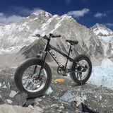 ZUN A20316 20 inch Fat Tire Bike Adult/Teen Full Shimano 7 Speed Mountain Bike, Dual Disc Brakes, High W709P185464