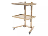 Gold 2 Tier Beauty Salon SPA Rolling Cart w/Double Storage Tray Stainless Steel 65665633