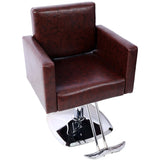 Salon Chair for Hair Stylist 360&deg Swivel with Heavy Duty Hydraulic Pump, Max Load Weight 330 lbs, W465P156748