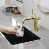 ZUN Industrial Pipe-Style Bathroom Faucet Brushed Gold 2-Handle Vanity Mixer Tap Pop-Up Drain Included W1920P254920