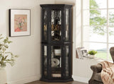 Lighted Corner Curio Cabinet - Glass Display Shelf with Tempered Glass Doors, Adjustable Shelving, W1758P300129